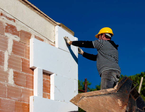 Best Commercial Insulation in La Riviera, CA
