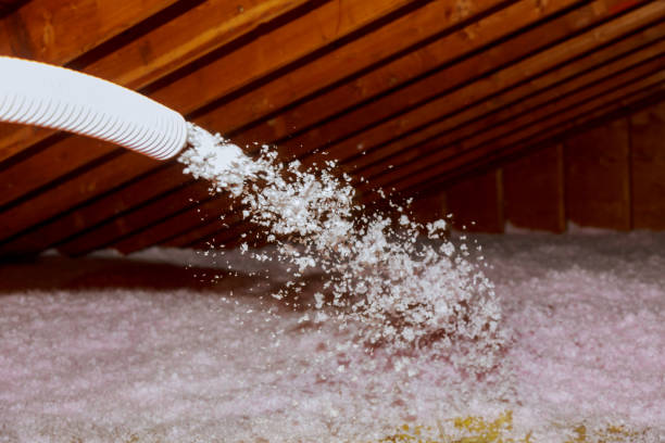 Best Specialty Insulation in La Riviera, CA
