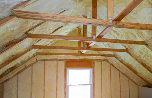 Best Insulation for Specific Applications in La Riviera, CA
