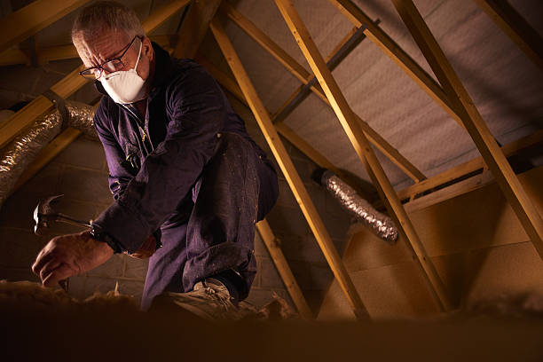 Best Insulation for Specific Applications in La Riviera, CA